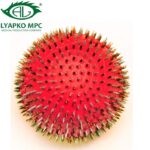 Liapko aplikatorius "Kamuoliukas" 4,0 AG