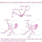 Kegel8 vaginaliniai kamuoliukai dubens raumenų treniruotėms-2