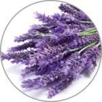 Medisana Aroma Levandų aromato namų kvapas-1