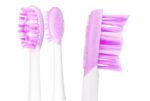 Elektrinis dantų šepetėlis VITAMMY Aurum Rose-5