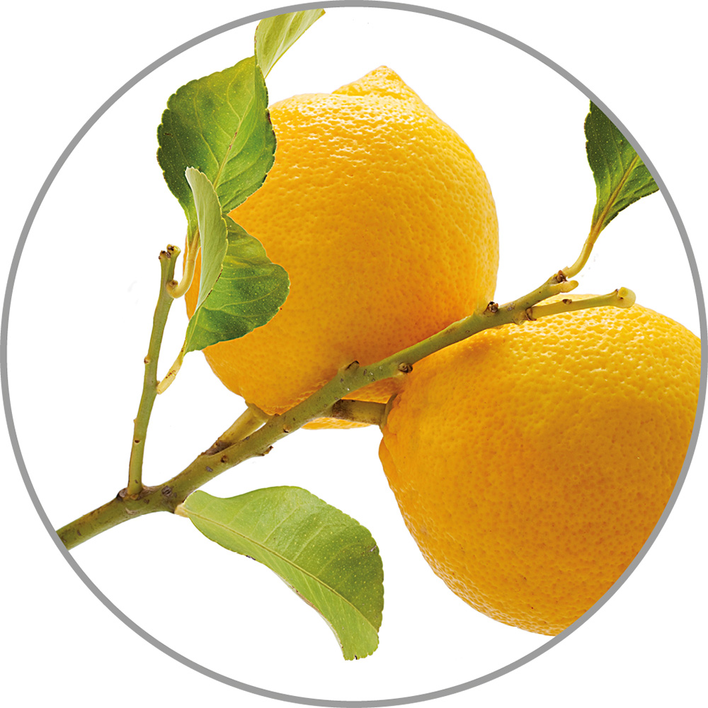 60030_Aroma_Zitrone.jpg