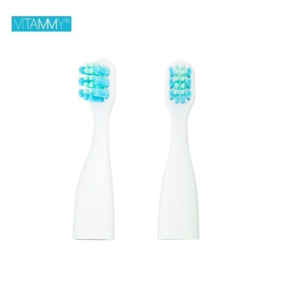 Antgaliai dantų šepetėliams VITAMMY Tooth Friends (mėlyna/žalia) (2 vnt.)