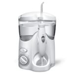 Burnos irigatorius Waterpik Ultra WP-100-6