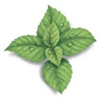 Aromatiniai lapeliai VICKS VapoPads mentolio kvapo (7vnt.)-1