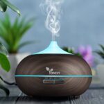 Kvapų difuzorius Vonivi Zen (400 ml)-2