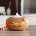 Kvapų difuzorius Vonivi Zen (400 ml)-3