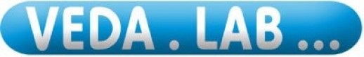 vedalab logo.jpg