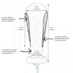 Vaginalinis zondas Kegel8 Comfort - Image 3
